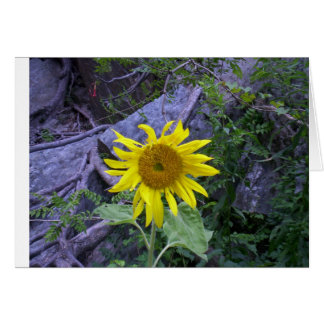 Ljus i mörkret hälsningskort