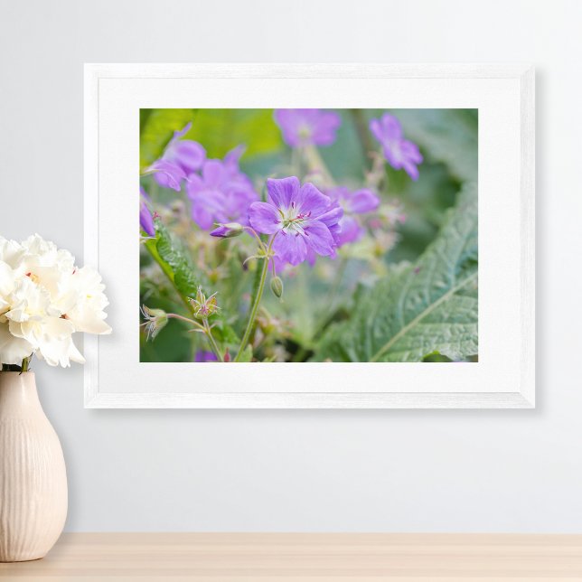 Ljus lila pelargonia vildblomma botanisk foto poster (Please note: This image is a digital mockup. The product may not be in scale.)