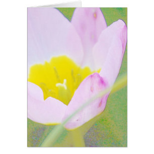 ljus lila-tulpanblomma hälsningskort