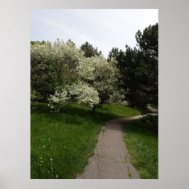 Ljus, Mörk och motstående sidor Poster