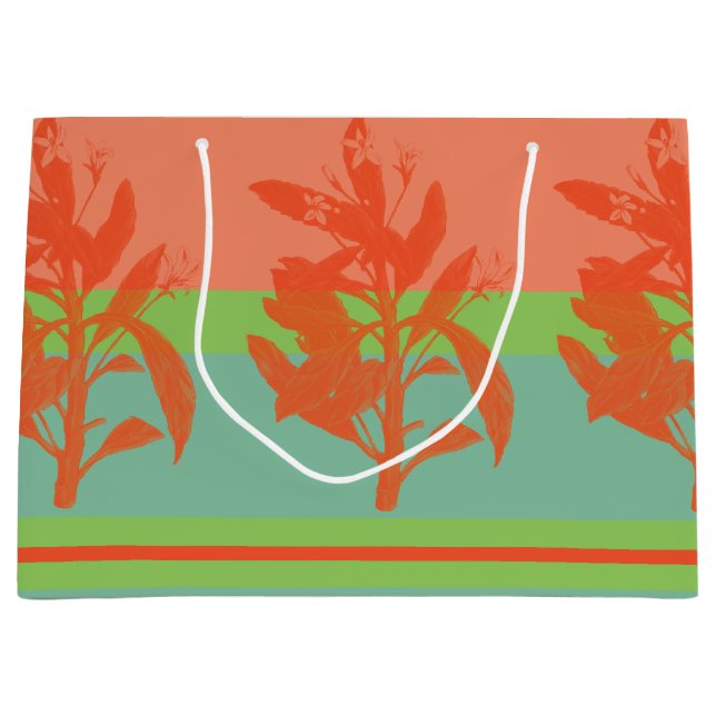 Ljus och färsk Tropical Färg (Framsidan)