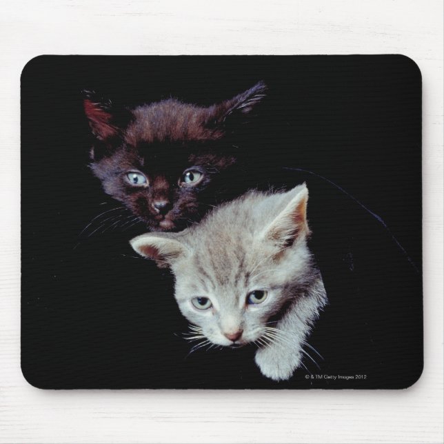Ljus och Mörk Kittens Musmatta (Framsidan)