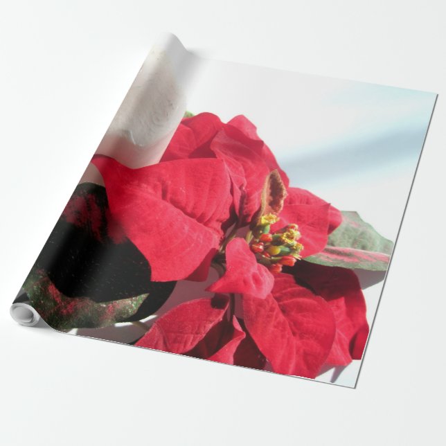 ljus och Poinsettia för jul Presentpapper (Utrullad)
