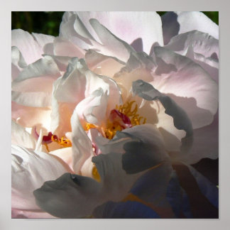 Ljus och skugga 2 poster