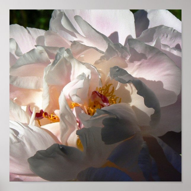 Ljus och skugga 2 poster (Framsidan)