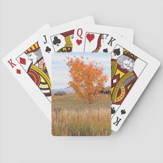 Ljus oktober  casinokort (Baksidan)