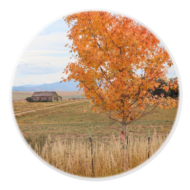 Ljus oktober  knopp (Framsidan)