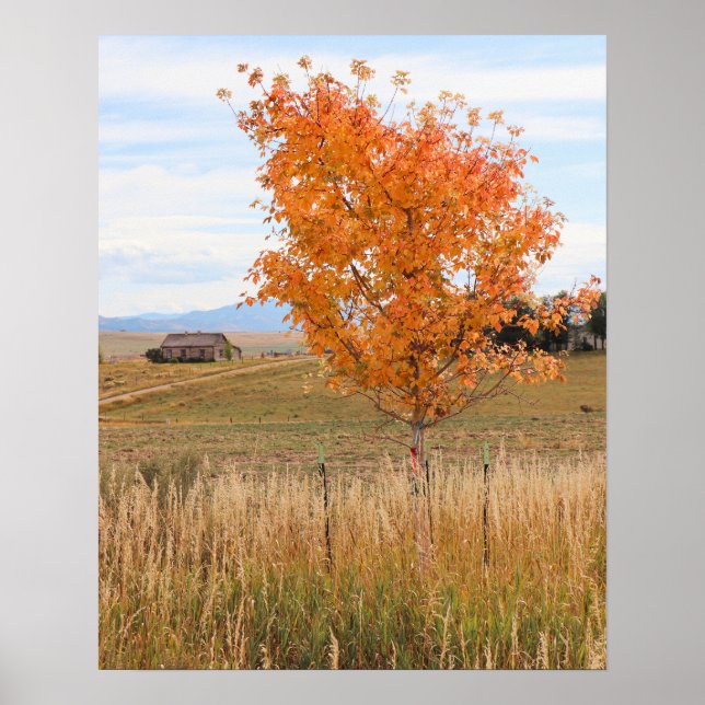 Ljus oktober  poster (Framsidan)