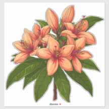 Ljus orange hibiskus bukett