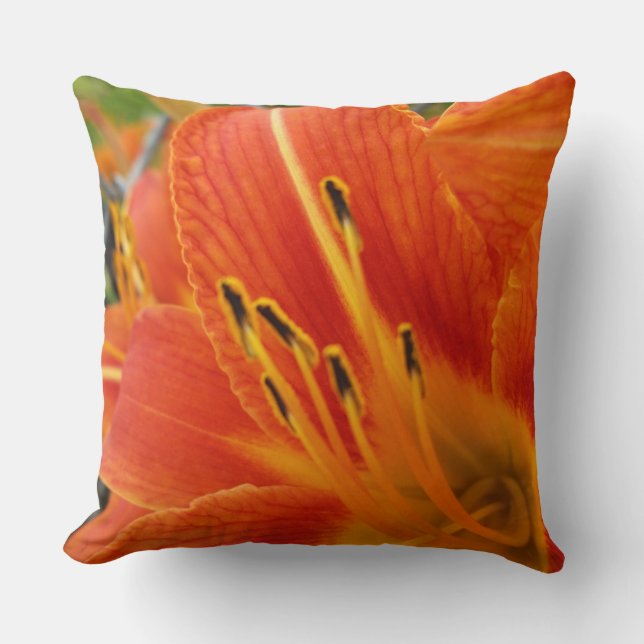ljus orange kudde (Framsida)