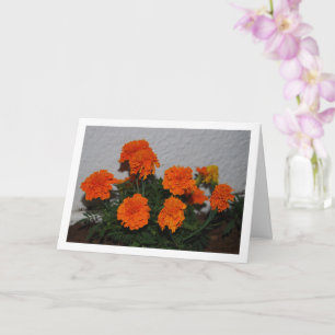 Ljus orange marigoldblomma porträtt kort