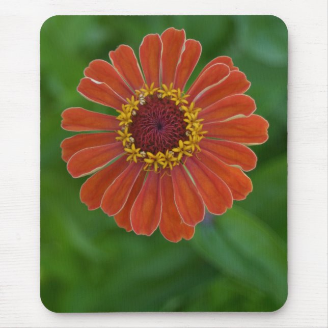 Ljus orange mousepad för Zinniablommablommar Musmatta (Framsidan)