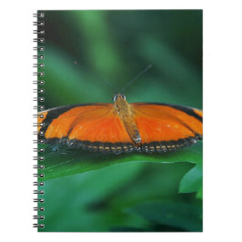 Ljus orange och svart fjäril på blad anteckningsbok med spiral