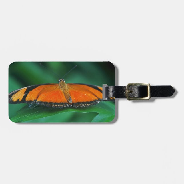 Ljus orange och svart fjäril på blad bagagebricka (Horisontell Framsida)