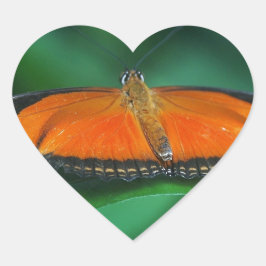 Ljus orange och svart fjäril på blad hjärtformat klistermärke