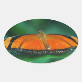 Ljus orange och svart fjäril på blad ovalt klistermärke