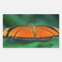 Ljus orange och svart fjäril på blad rektangulärt klistermärke