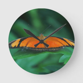 Ljus orange och svart fjäril på blad rund klocka