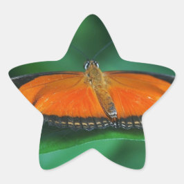 Ljus orange och svart fjäril på blad stjärnformat klistermärke