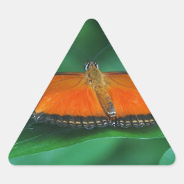 Ljus orange och svart fjäril på blad triangelformat klistermärke