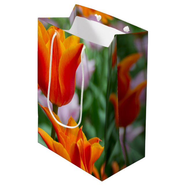 Ljus orange tulpaner i parken  (Framsidan Vinklad)