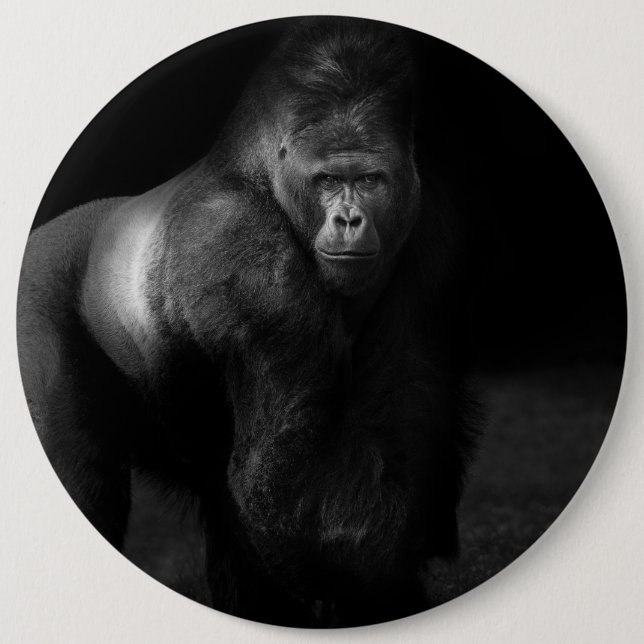 Ljus på styrka – Silverback Gorilla Knapp (Framsida)