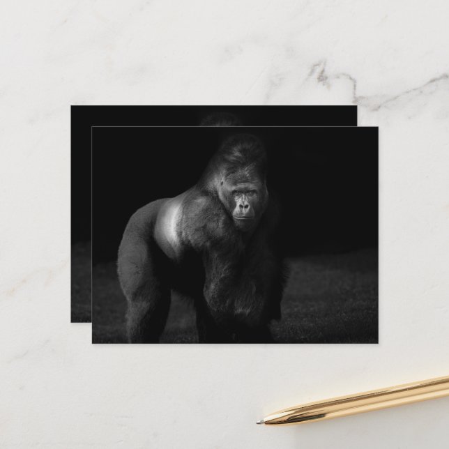 Ljus på styrka – Silverback Gorilla Vykort (Fram/Back In Situ)