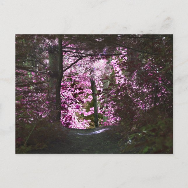 Ljus på Väg-vykort Vykort (Framsida)