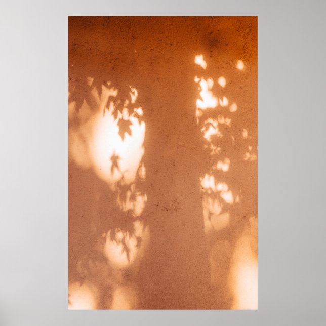 Ljus Poster (Framsidan)