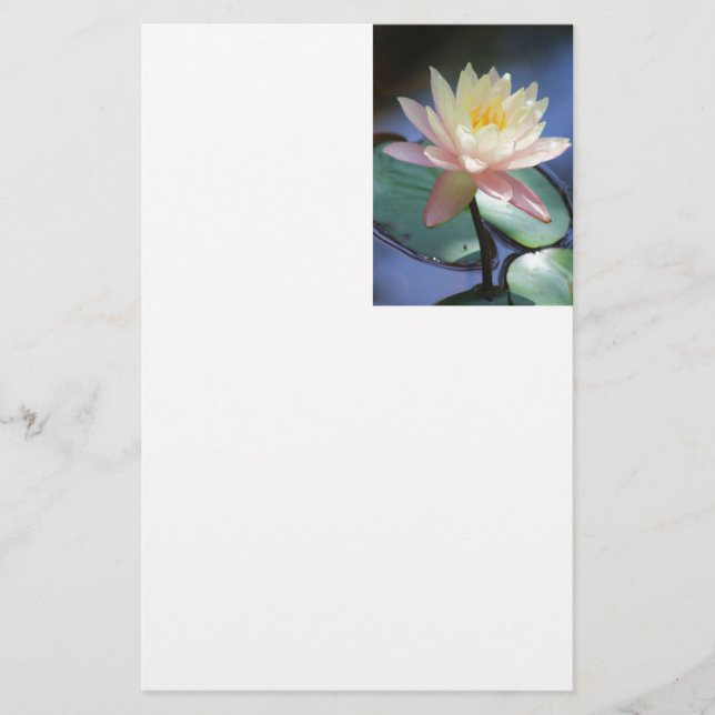 Ljus reflexion brevpapper (Framsida)