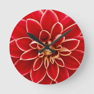Ljus röd Dahlia-blomma Rund Klocka