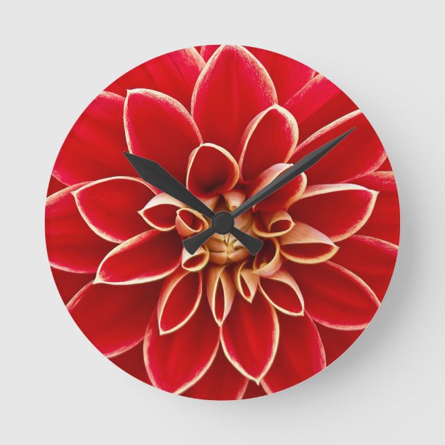 Ljus röd Dahlia-blomma Rund Klocka (Framsida)