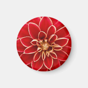 Ljus röd Dahlia Magnet