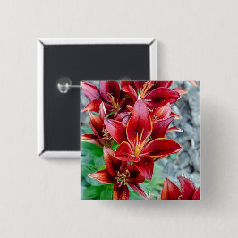 Ljus Röd Stargazer-Lilja Botanisk Blomma Knapp