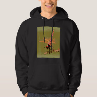 Ljus röd violett dropwing isolerad på grön färg hoodie