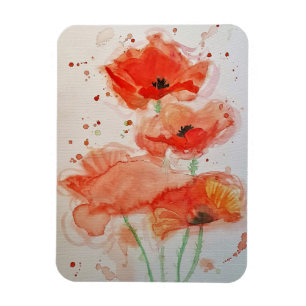 Ljus Röda Vallmo Watercolour Blomma Blommig Magnet