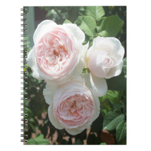 Ljus rosa bärbar dator med engelska Ro Spiral fotn Anteckningsbok