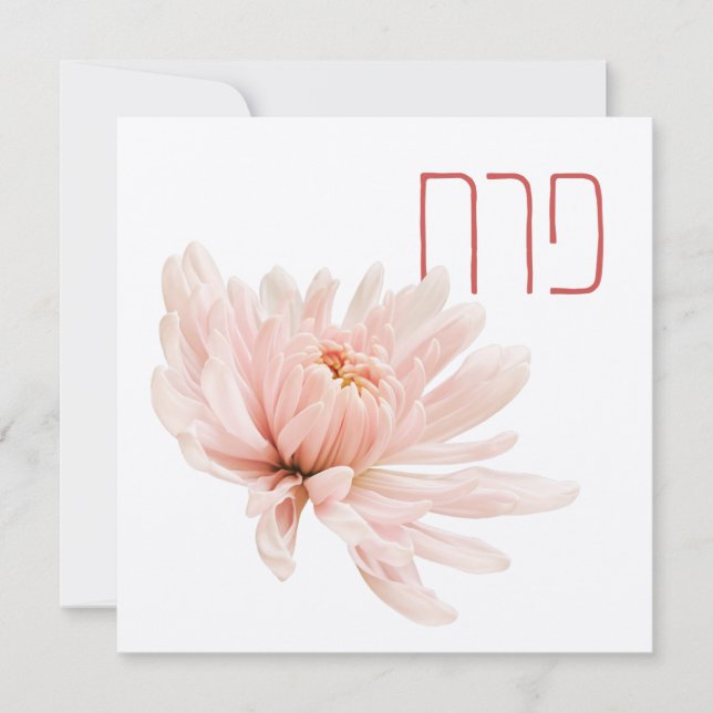 Ljus rosa blomma med Namn i Hebreiska - Perach (Framsida)