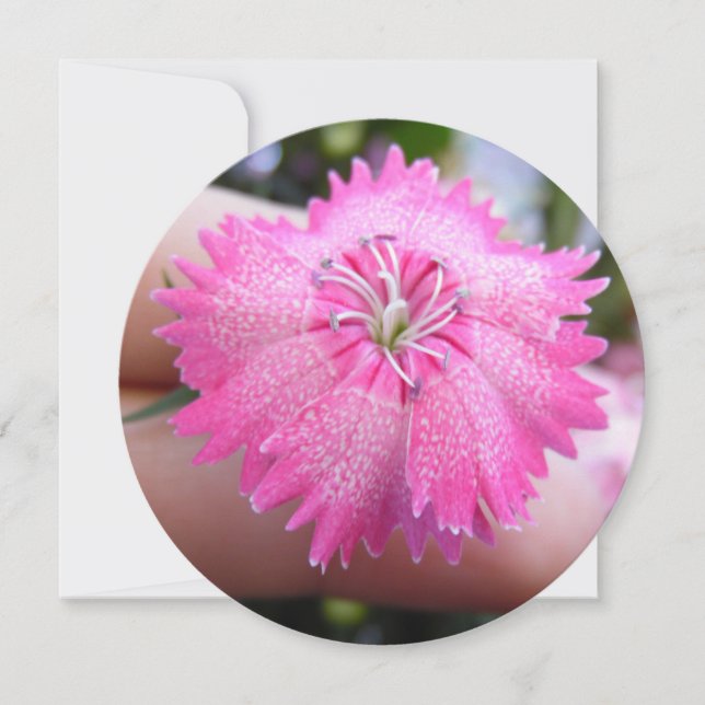 Ljus Rosa blommar med dekor Inbjudningar (Framsida)