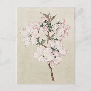 ljus rosa Blommigt Vykort