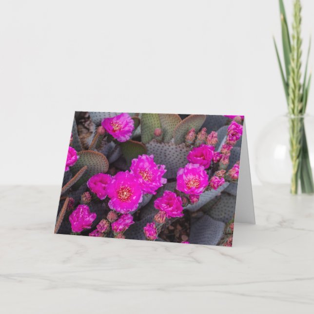 Ljus rosa kaktusblomma | Tänker på dig anpassad Kort (Framsida)