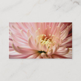ljus rosa krysanttemablomma visitkort
