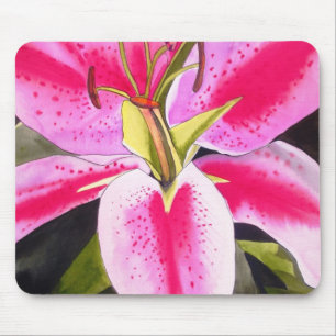 Ljus Rosa lily Tenerfife Musmatta