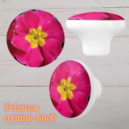 Ljus rosa och gul vivorblomma knopp
