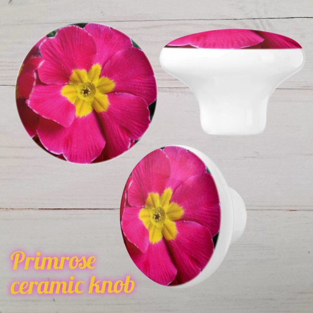 Ljus Rosa och Gult Primrose Flower Knopp (Skapare uppladdad)