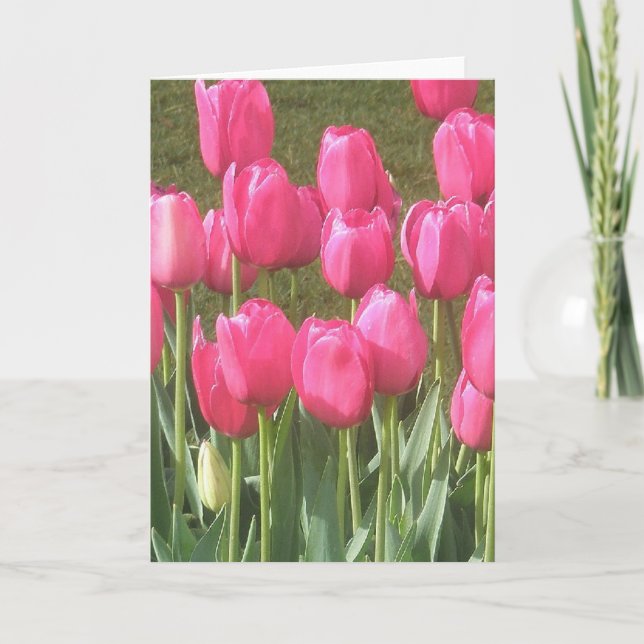 Ljus Rosa Tulpan Trädgård Kort (Framsida)