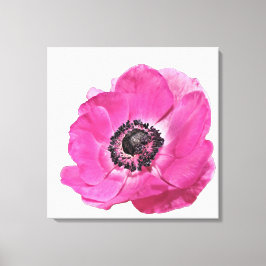 Ljus rosa vallmo blomma blomsterdesign vit canvastryck