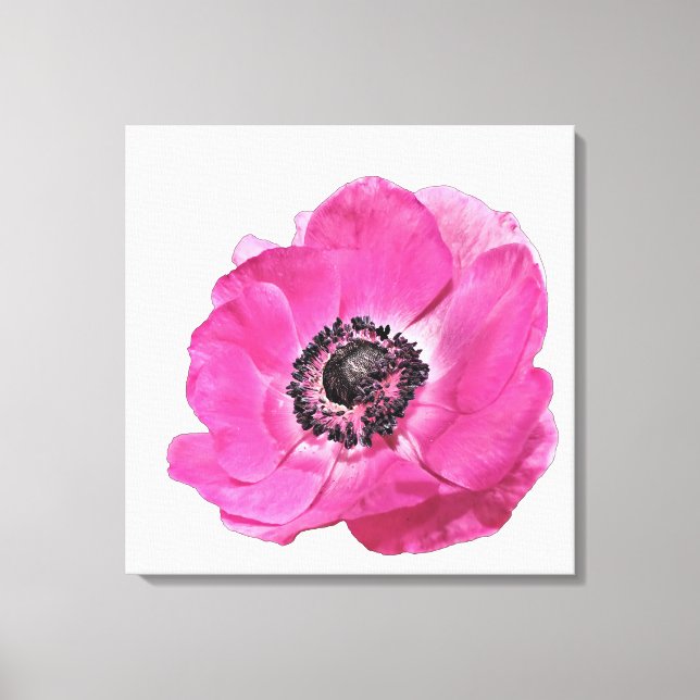 Ljus rosa vallmo blomma blomsterdesign vit canvastryck (Framsida)