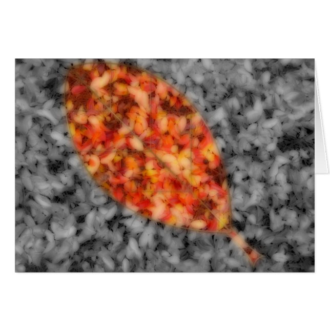 Ljus-skuggkort Hälsningskort (Framsidan Horizontal)