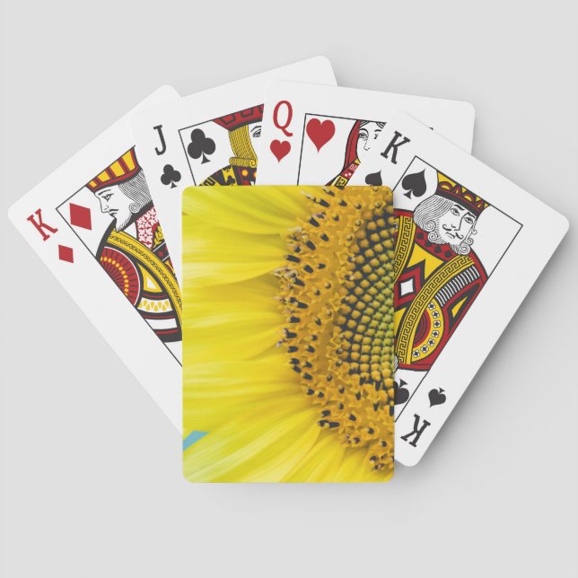 Ljus solros casinokort (Baksidan)